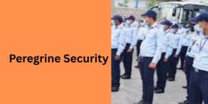 Peregrine-security-kya-hai